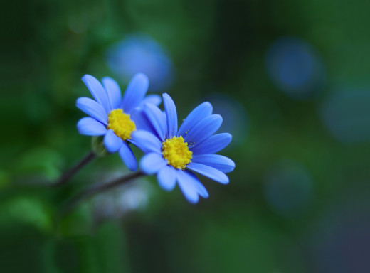 855035 (a): :2048x1509